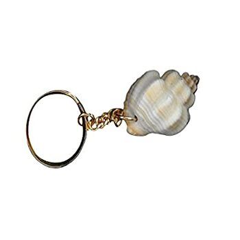 Twisted White Shell Key Chain