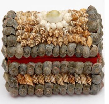 Twisted shell jewellery Box