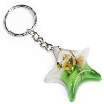 Star shaped key chain with shell images