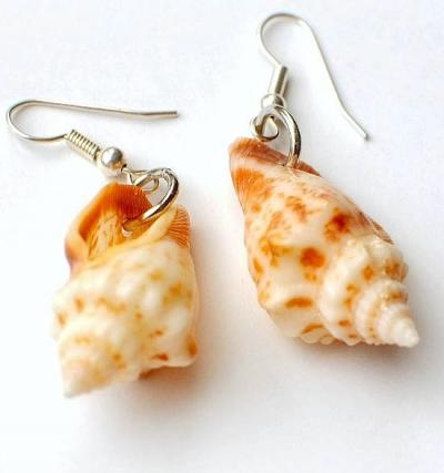 How to make sea shell Earrings